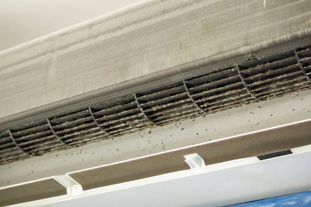Best Affordable Duct Cleaning Services  in Emerd Mountain, AL